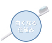 白くなる仕組み